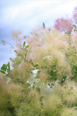 写真 2026-05-26 17 25 14_R_1