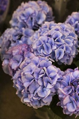 写真 2026-05-07 17 18 22_R_1