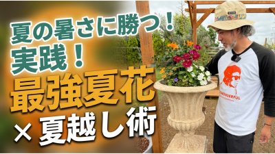 夏の暑さに勝つ！