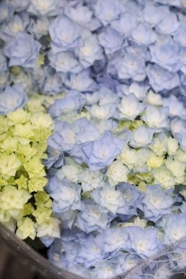 写真 2026-05-06 17 07 54_R_1