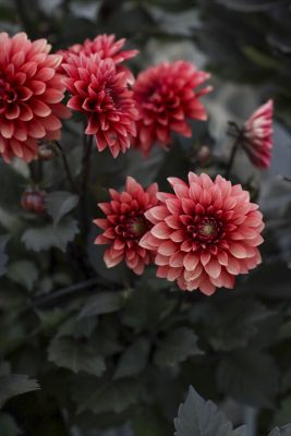 写真 2026-05-14 17 32 56_R_1