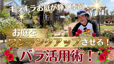 ワンランクアップ