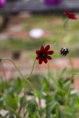 写真 2026-05-16 16 47 27_R_1