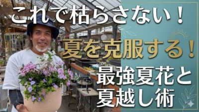 夏を克服！