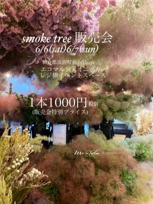 写真 2026-06-06 17 44 56