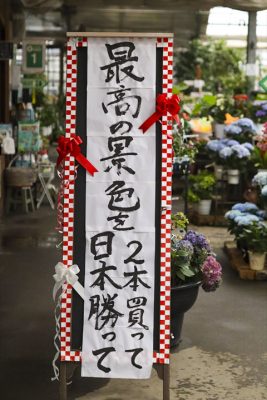 写真 2026-06-18 17 32 06_R_1
