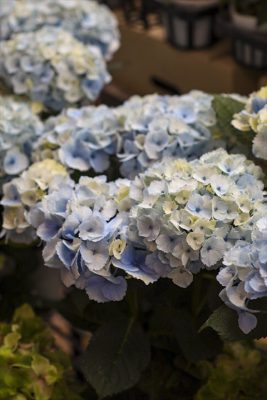 写真 2026-06-04 16 09 13_R_1