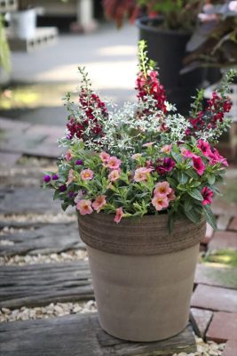 写真 2026-05-31 16 54 11_R_1