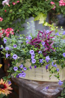 写真 2026-06-20 16 12 11_R_1