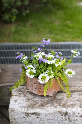 写真 2026-06-09 17 18 08_R_1