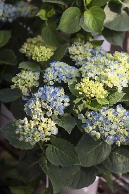 写真 2026-06-10 17 13 07_R_1