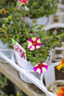 写真 2026-06-20 16 06 26_R_1