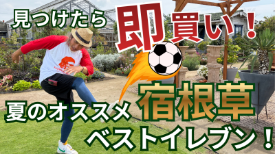 見つけたら (1)