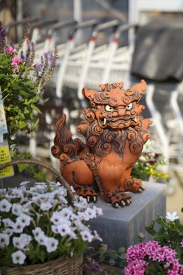 写真 2026-06-11 16 57 15_R_1