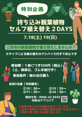 持ち込み観葉2026