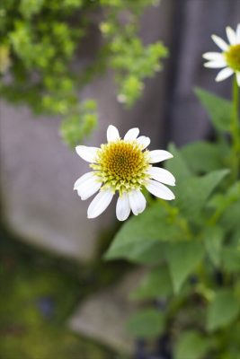 写真 2026-07-02 16 16 24_R_1