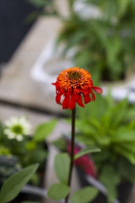 写真 2026-07-02 16 17 38_R_1