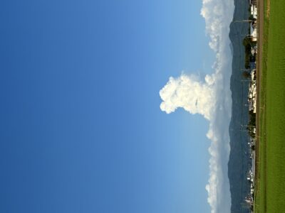 写真 2026-07-19 17 48 36