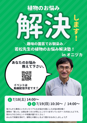 解決塾
