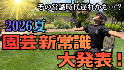 新常識