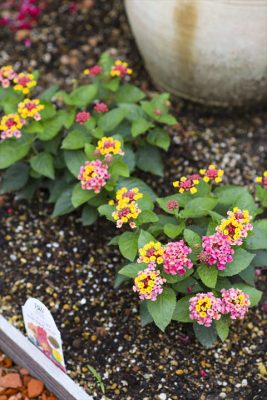 写真 2026-07-02 16 25 45_R_1