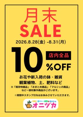 月末セール2026.8