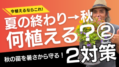 夏の終わり→秋のコピー