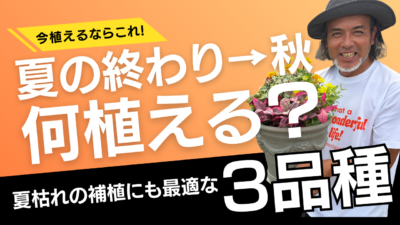 夏の終わり→秋