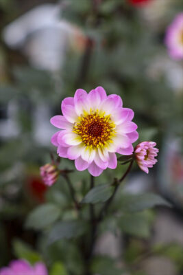 写真 2026-10-09 8 30 31_R_1