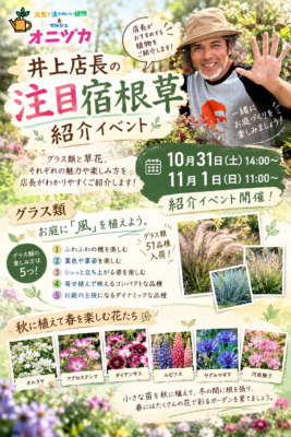 宿根草イベント