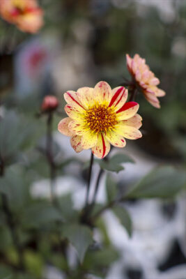 写真 2026-10-09 8 30 48_R_1