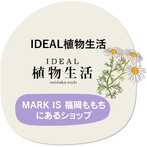 IDEAL 植物生活　MARK IS 福岡ももちにあるショップ