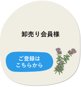 卸売り会員様 ご登録はこちらから