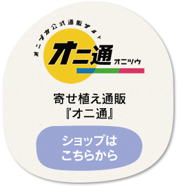 寄せ植え通販『オニ通』 ショップはこちらから