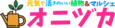 エコマルシェオニヅカ株式会社│福岡県のガーデニング専門店・花苗生産販売