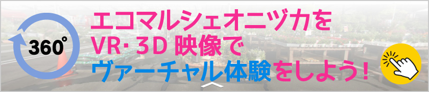 エコマルシェオニヅカをVR・3D映像でヴァーチャル体験をしよう!